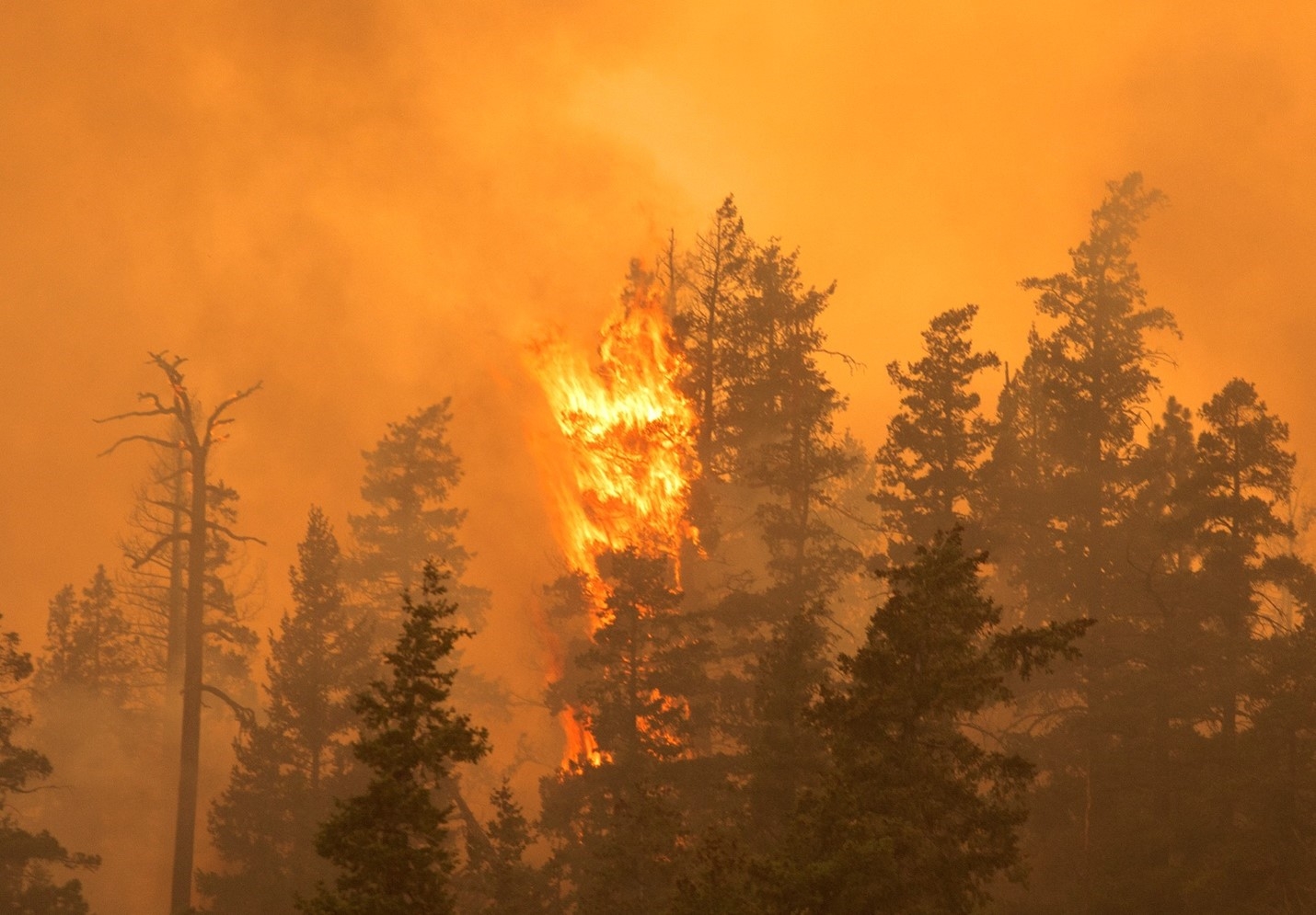 Forest fire producing heavy smoke, highlighting air quality concerns and health risks from wildfire exposure.
